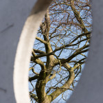 Villa Bakhuis, photograph